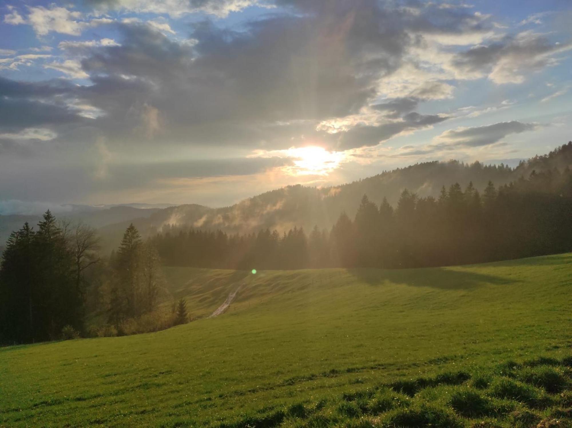 מיסן-וילהאמס Sonnen-Juwel - Hallenbad-Sauna-2 Getrennte Schlafbereiche-Direkt An Der Skipiste מראה חיצוני תמונה