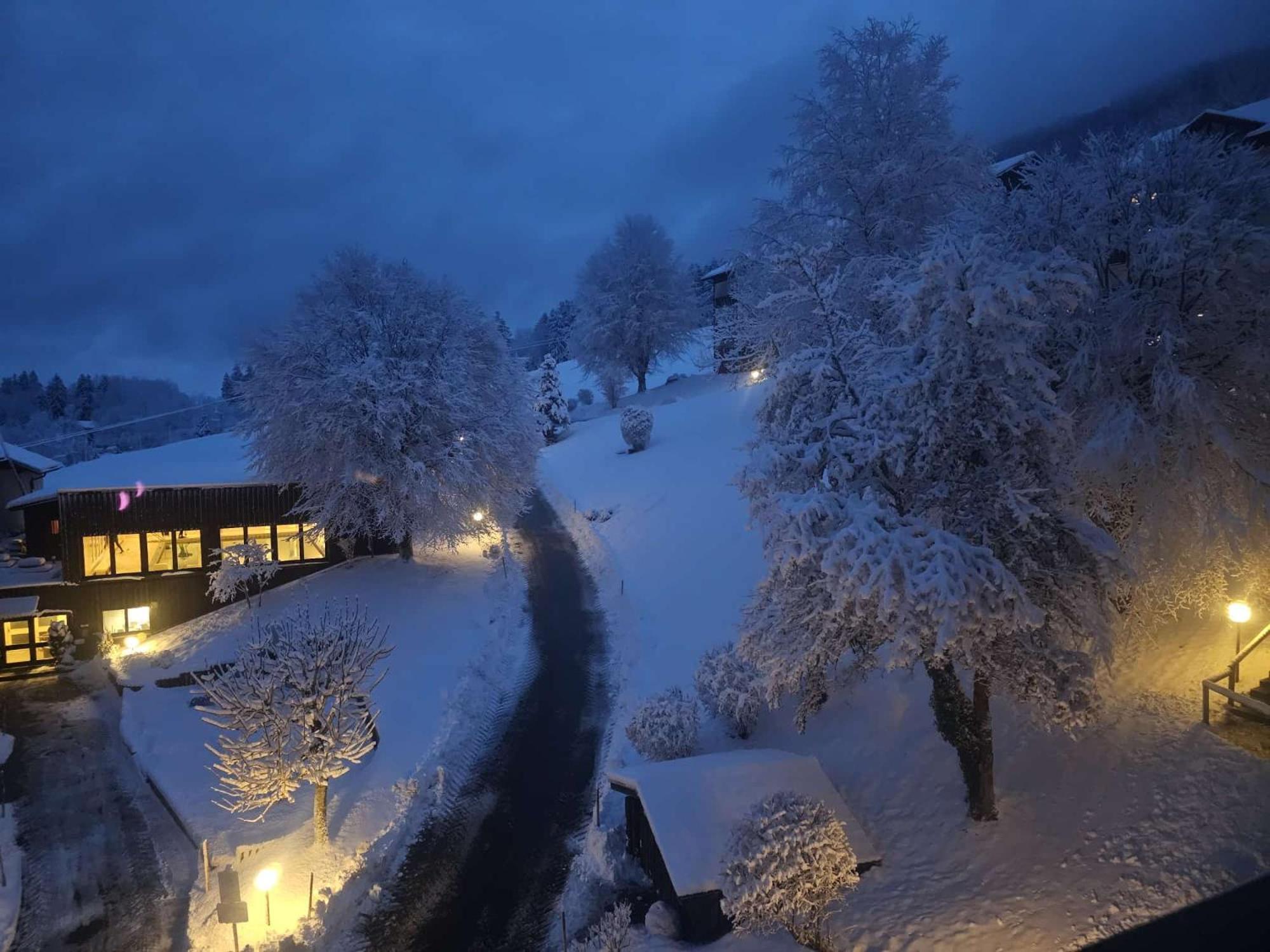 מיסן-וילהאמס Sonnen-Juwel - Hallenbad-Sauna-2 Getrennte Schlafbereiche-Direkt An Der Skipiste מראה חיצוני תמונה